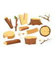 set of materials for wood vector image