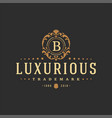 luxury logo template object for logotype vector image vector image