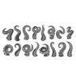octopus tentacles glyph icons vector image