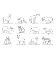 continuous line exotic animals trendy monoline vector image