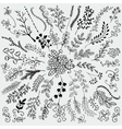 hand sketched rustic floral doodle branches vector image