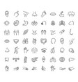 set line icons anatomy vector image vector image