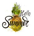 inscription hello summer on pineapple vector image vector image