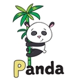 little panda on bamboo for abc alphabet p vector image