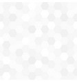 white and gray hexagon mosaic texture vector image