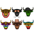 bull fashion set collection vector image vector image