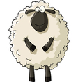 sheep vector image vector image