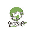 greenherbal organic tea logo template design vector image vector image