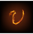alphabets flame vector image vector image