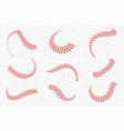 baseball ball laces or seams set vector image vector image