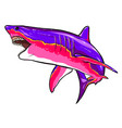 shark sketch graphics color picture vector image