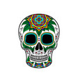 mexican sugar skull with floral ornament dia de vector image