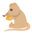 shrew eat cheese icon cartoon domestic vector image