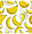 banana seamless pattern isolated hand vector image