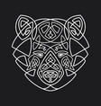 bear head celtic style t-shirt typography design vector image
