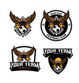 eagle football logo vector image vector image