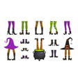 set different witch legs in stockings vector image