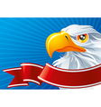 symbol of usa vector image vector image