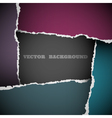 torn paper vector image vector image