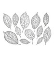 hand drawn tree leaves nature foliage sketch vector image