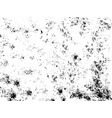 ink blots grunge urban backgroundtexture dust vector image