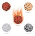 basketball vector image