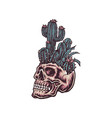 skull with cactus hand drawn line digital co vector image