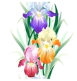 seamless pattern with iris flowers vector image vector image