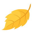 yellow falloing leaf cartoon autumn sesaon symbol vector image vector image