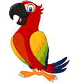 cartoon cute parrot vector image