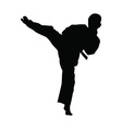 karate boy kicking silhouette vector image vector image