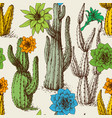 cactus in bloom seamless pattern hand drawn vector image