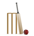 cricket bat ball and wicket vector image vector image