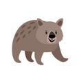 wombat cute animal icon vector image vector image