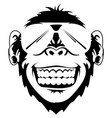 ape vector image