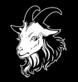 cartoon black head goat vector image vector image