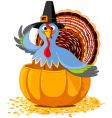 thanksgiving turkey in the pumpkin vector image vector image