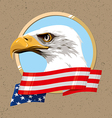 usa symbol vector image vector image
