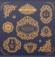 calligraphic design elements collection vector image