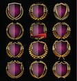 purple shields collection vector image vector image