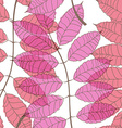 seamless pattern of rowan leaves vector image