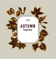 collection of hand drawn autumn leaves vector image