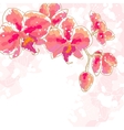 branch of orchids on white background vector image