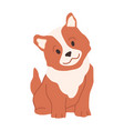 curious puppy dog life animal vector image