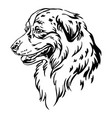 decorative portrait australian shepherd vector image