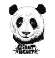 cute panda hand drawn bear vector image