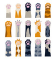 different cat paws collection of various cute vector image