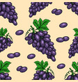 seamless pattern with grape design element vector image