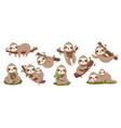 set of cute baby sloths vector image vector image