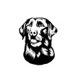 labrador retriever dog black contour image vector image vector image